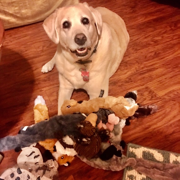 We are here to serve & spread God’s love. - Picture 14 of 15